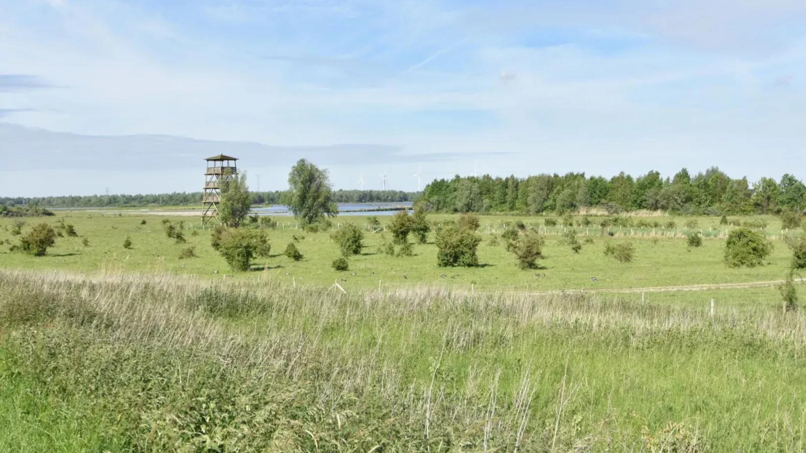 Poldergeluk-Zones d'été à 5 km