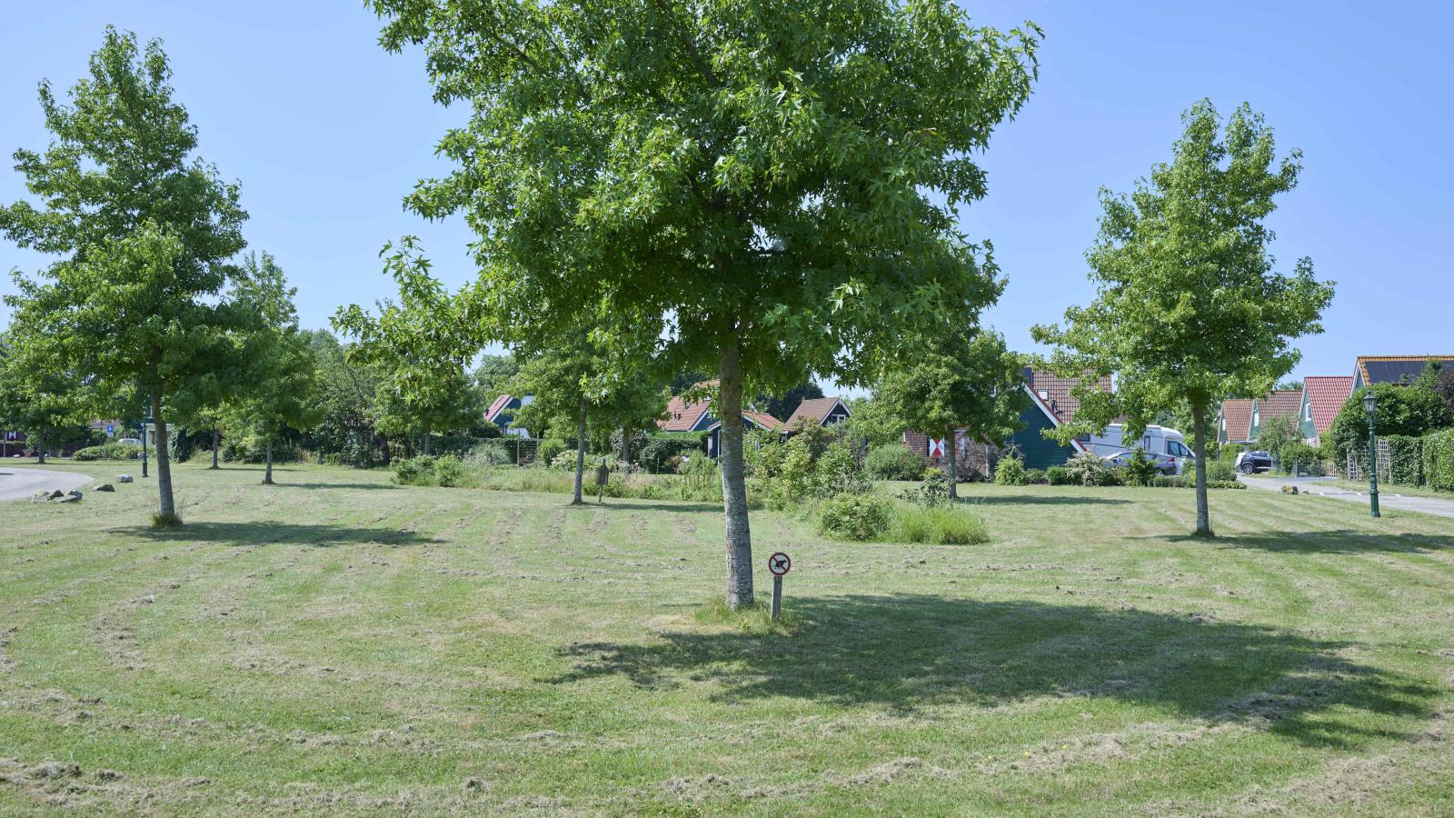 Poldergeluk-Zones d'été à 5 km