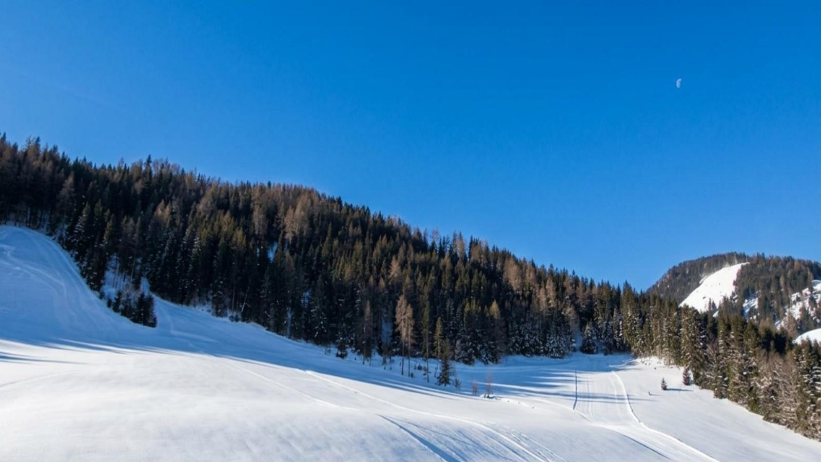 Bärenschanze - Gebied winter 1km