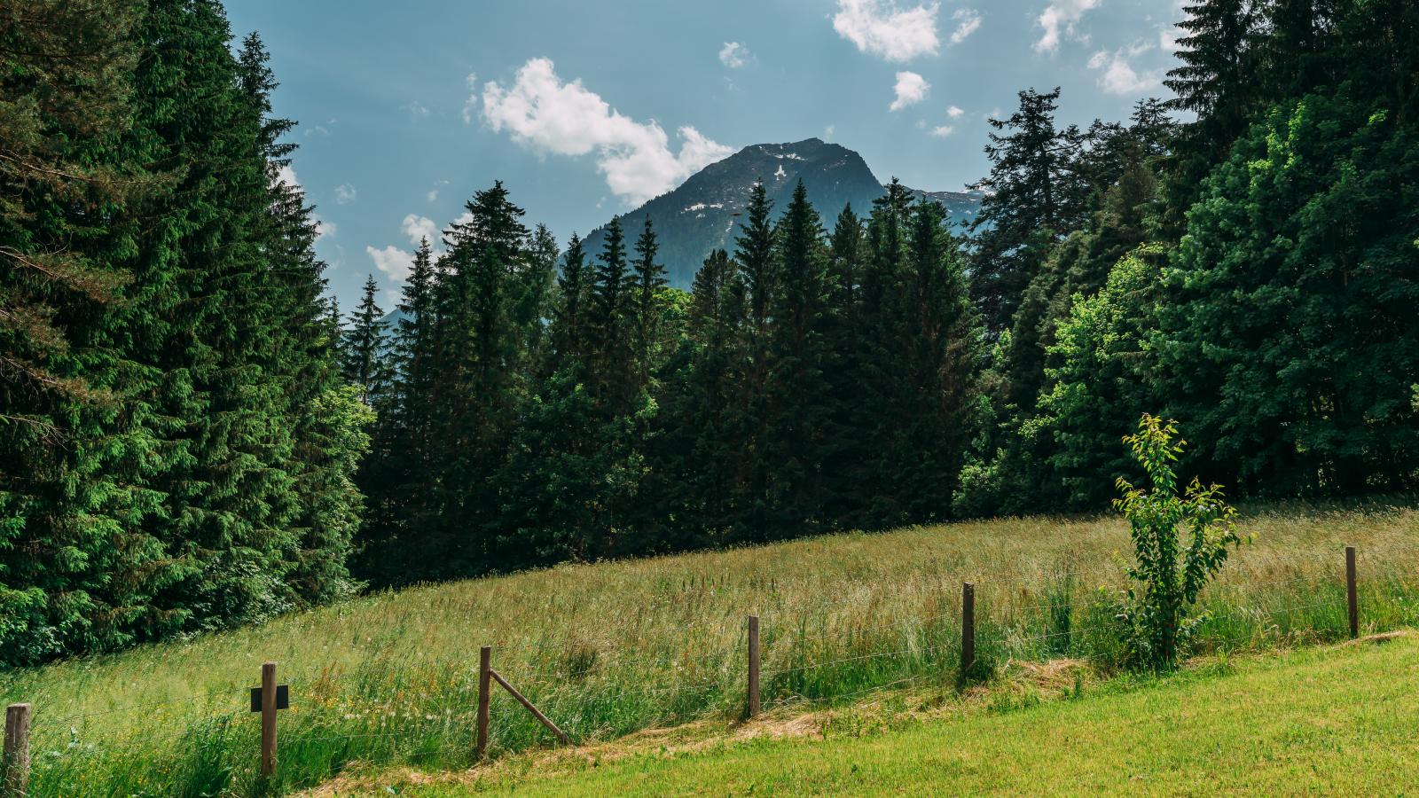 Tauernlodge Eben C1-Vue d'été