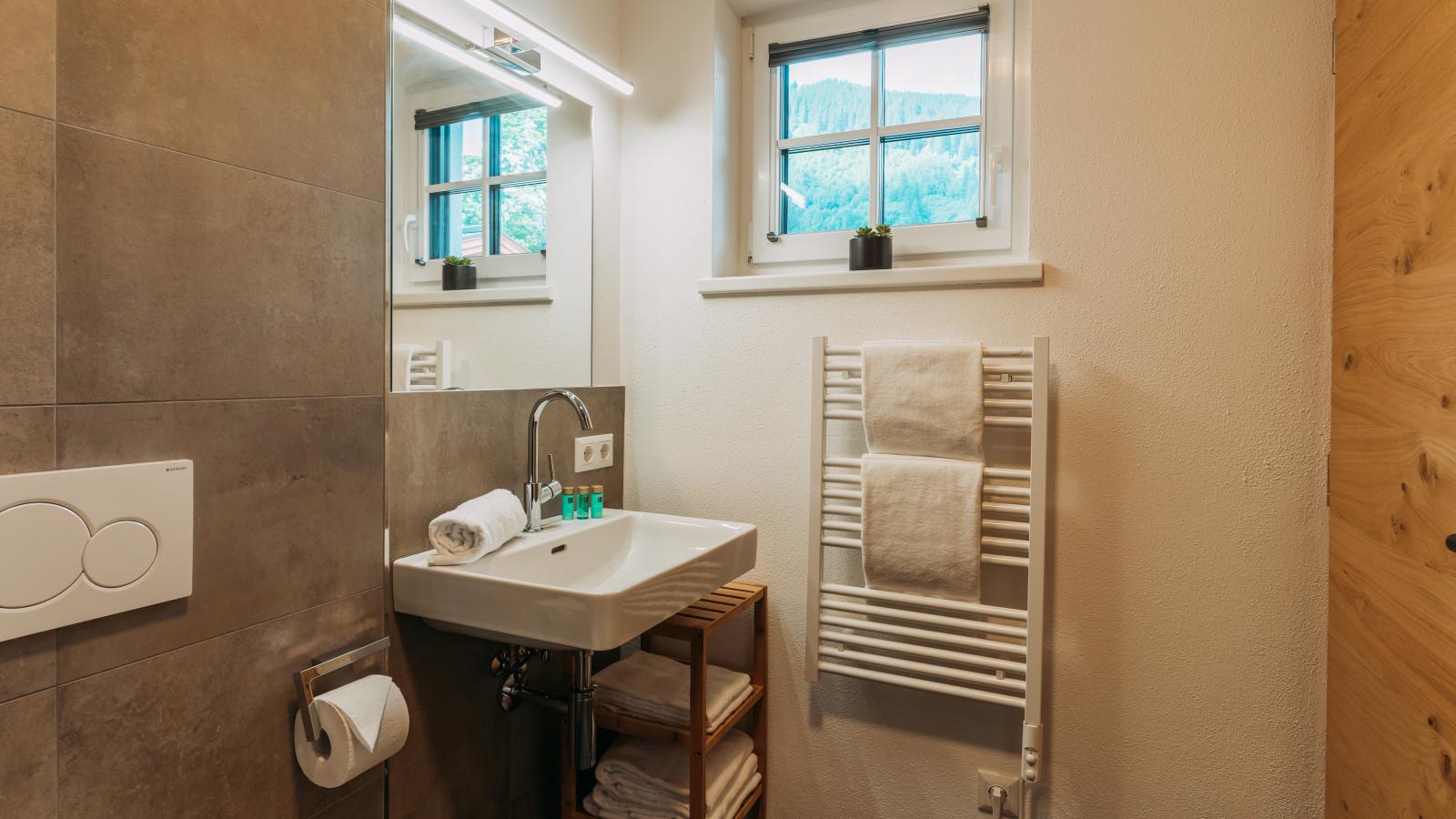 Tauernlodge Eben C1-Salle de bain