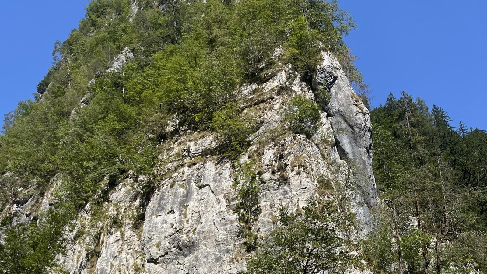 Obermöschach 7A-Areas summer 5km
