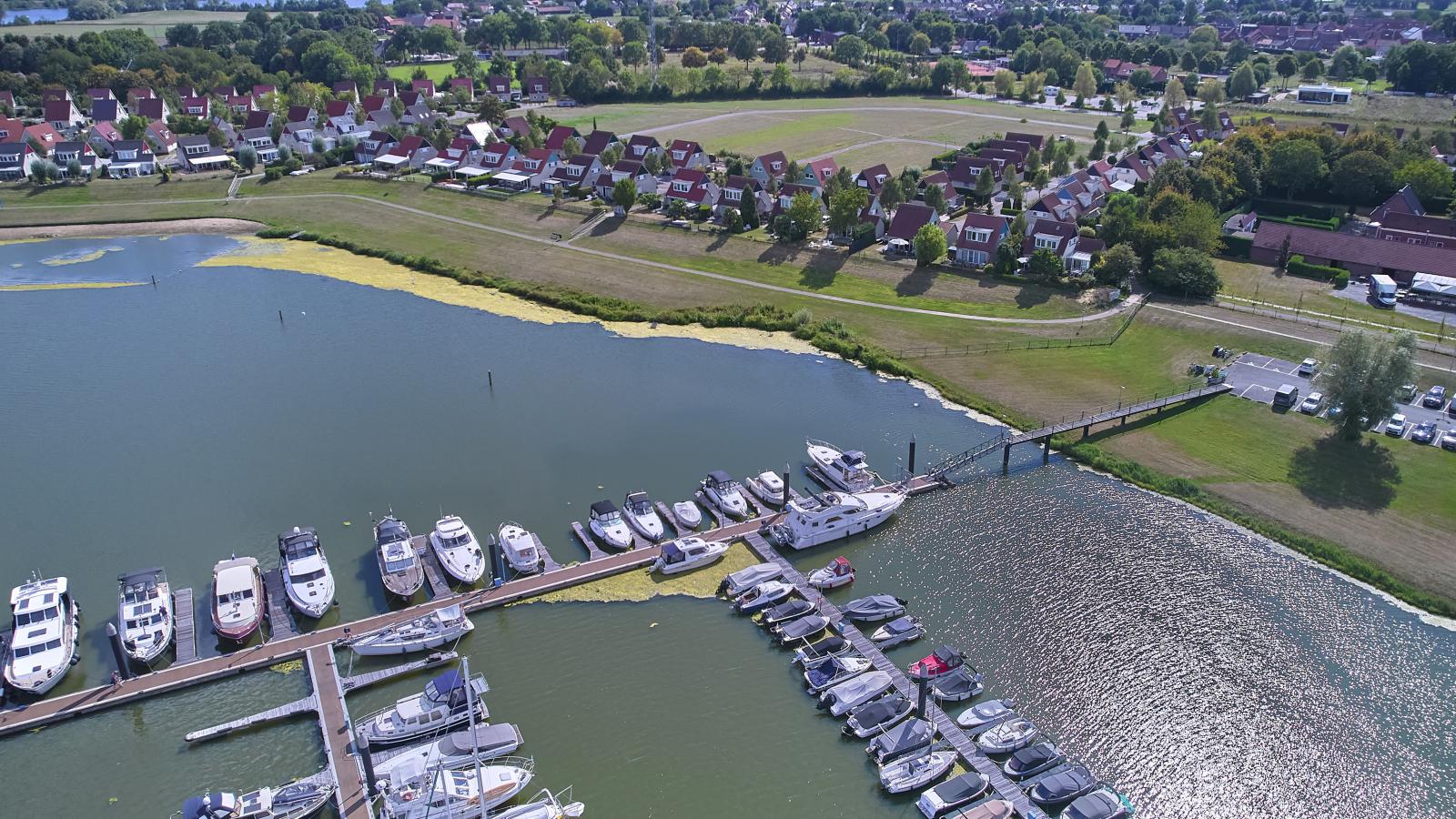 Maaszicht