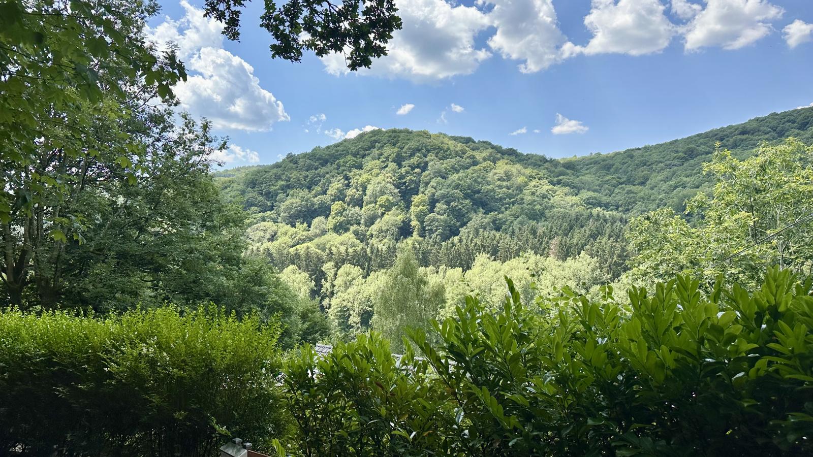 Le Quarante et Un-View summer
