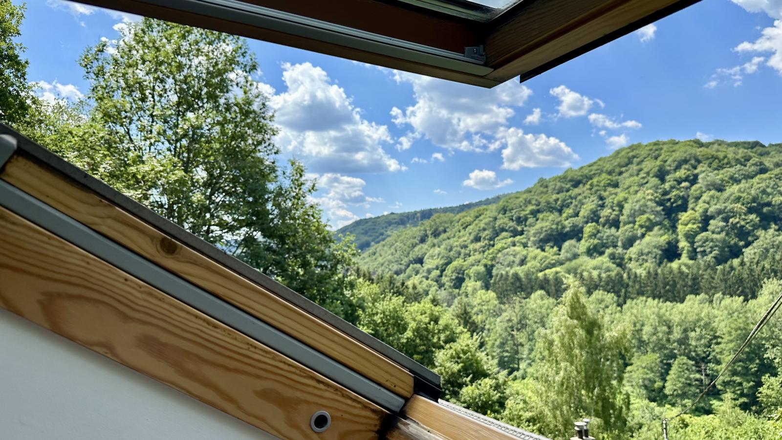 Le Quarante et Un-View summer
