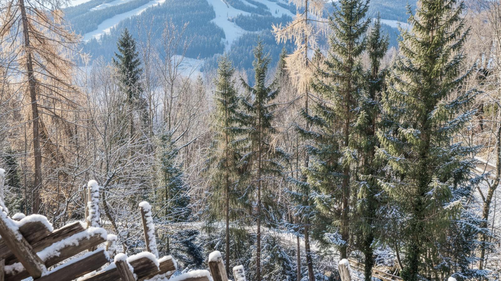 DAS Alpbach-Uitzicht winter