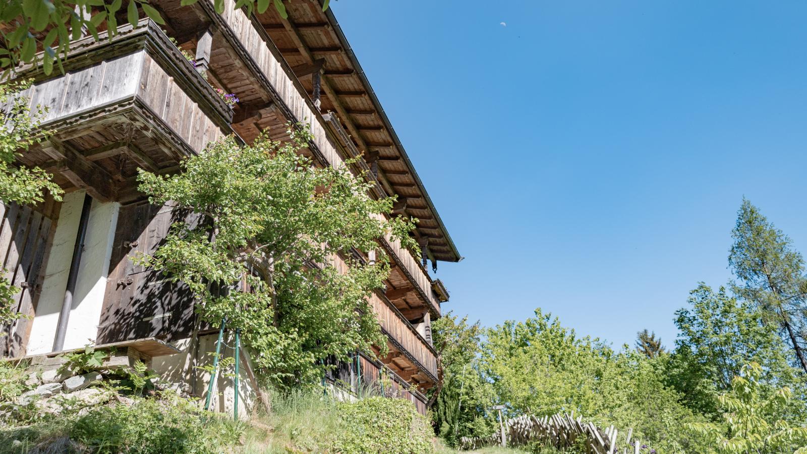 DAS Alpbach - Extérieur été