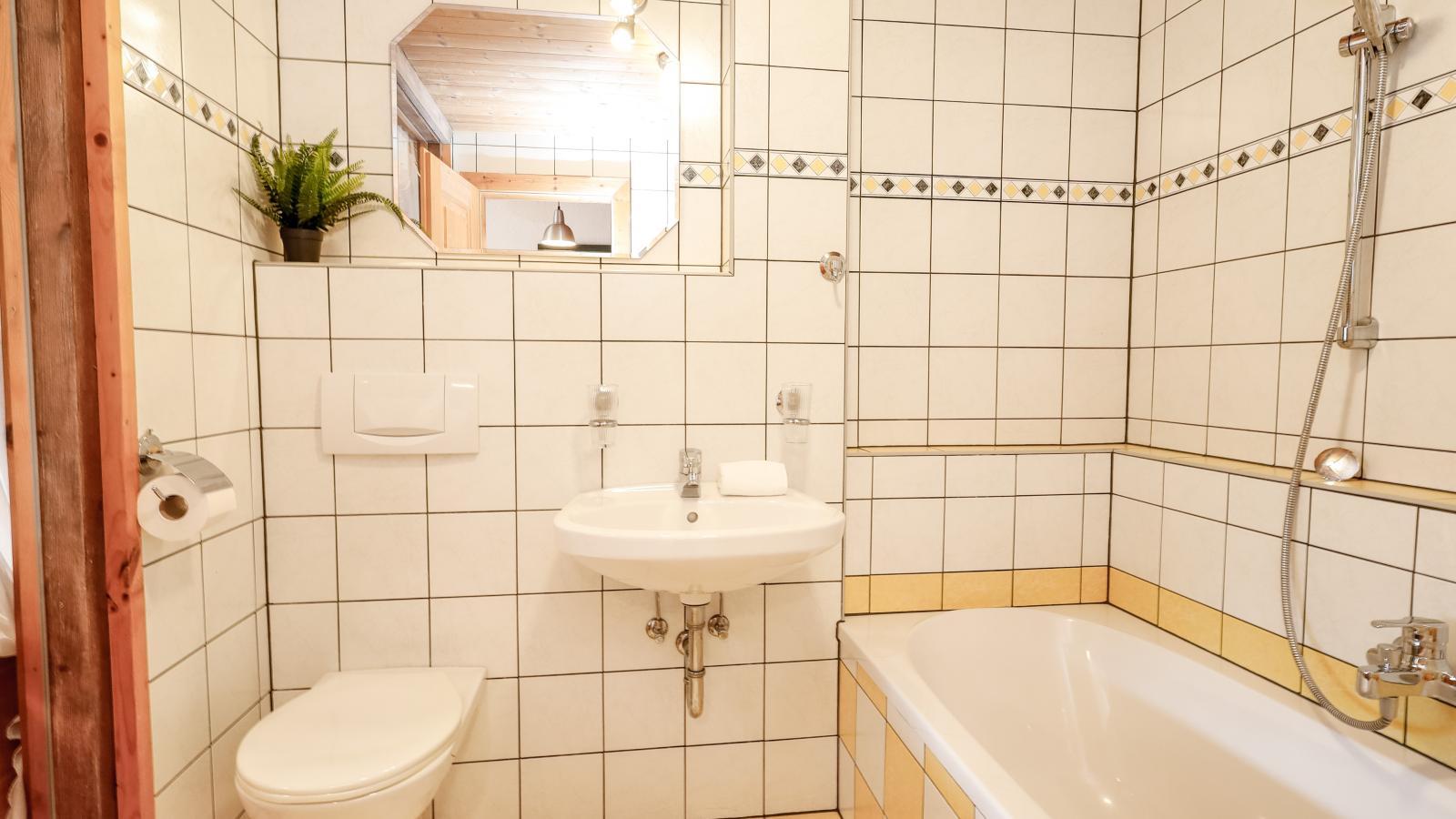 DAS Alpbach-Salle de bain