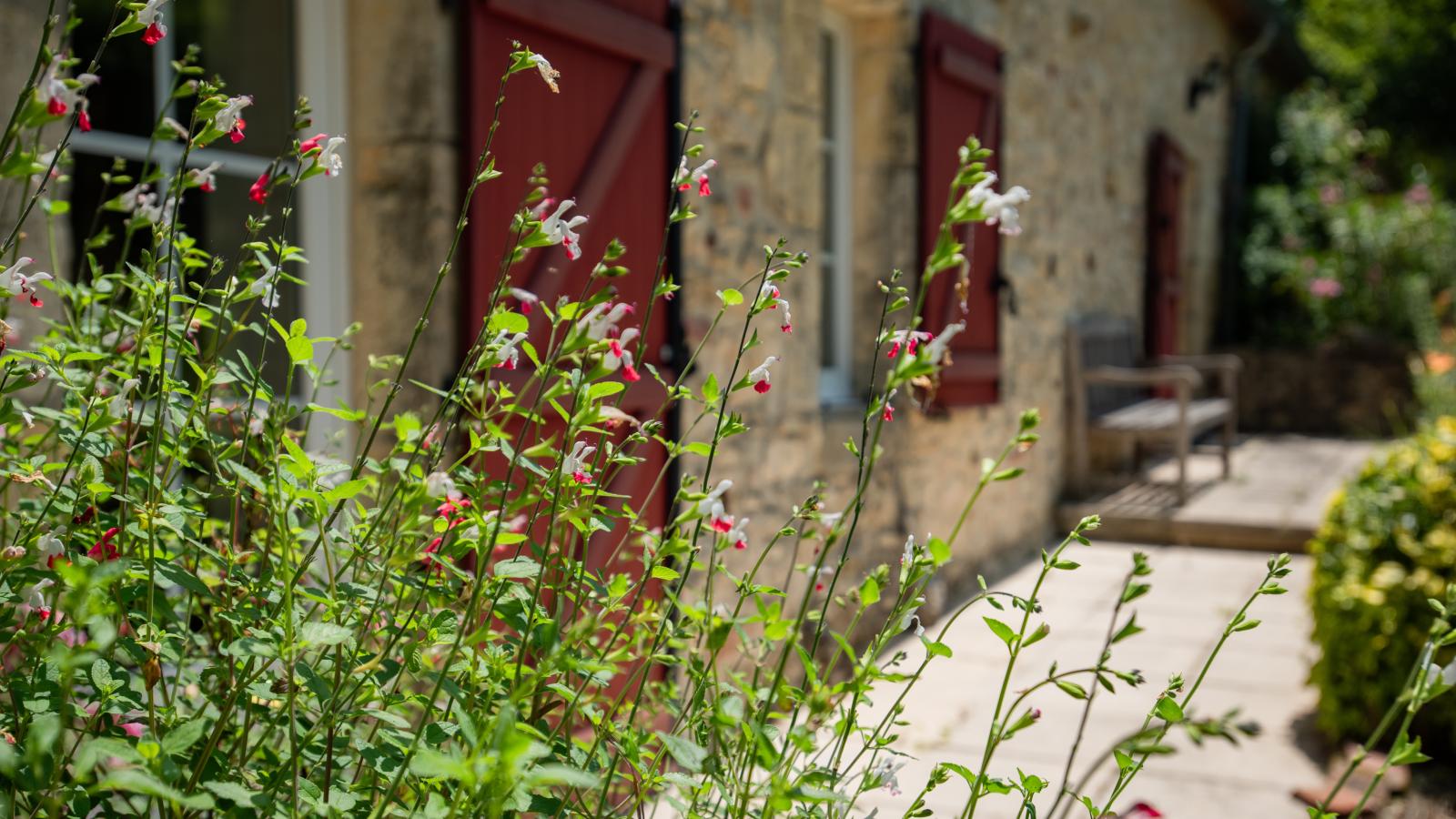Grande gite Saint Martin le Redon-Sfeer