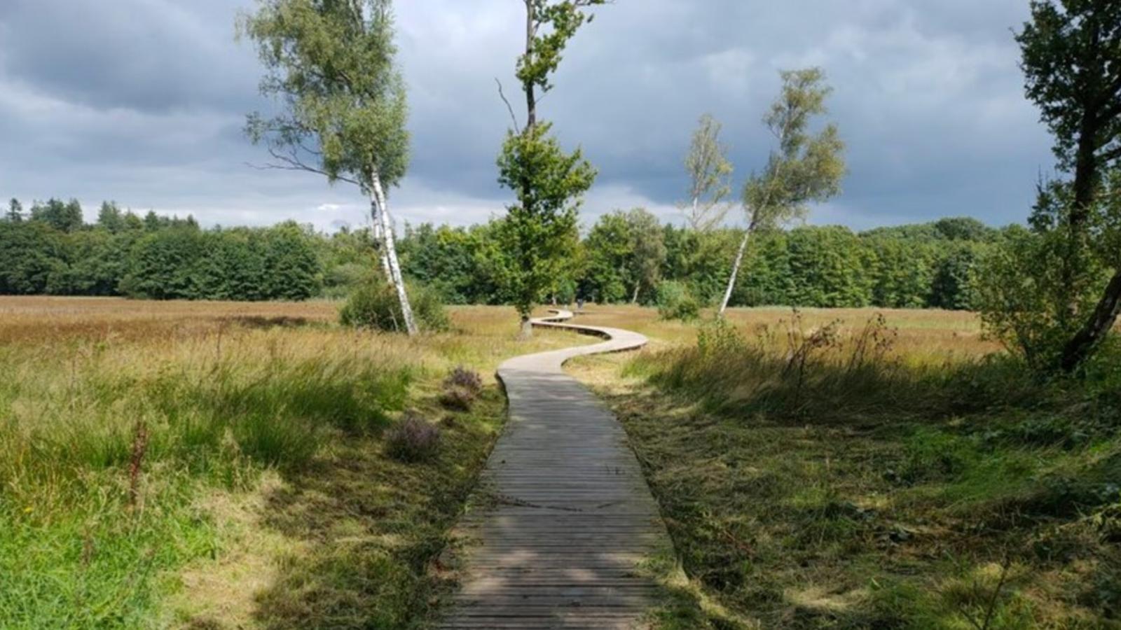 Uilenhof-Areas summer 1km