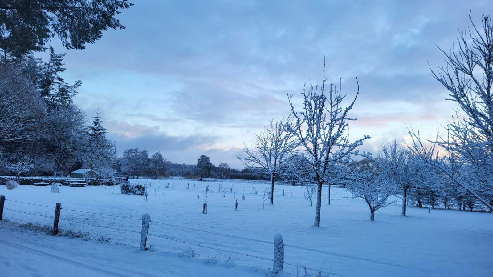 Uilenhof-Gebied winter 1km