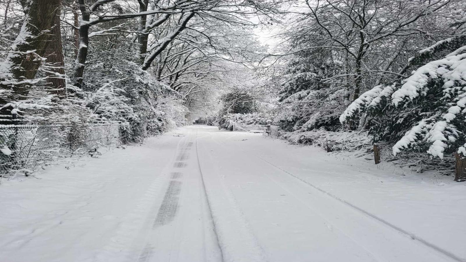 Uilenhof-Gebied winter 1km