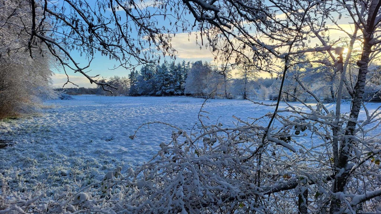 Uilenhof-Gebied winter 1km