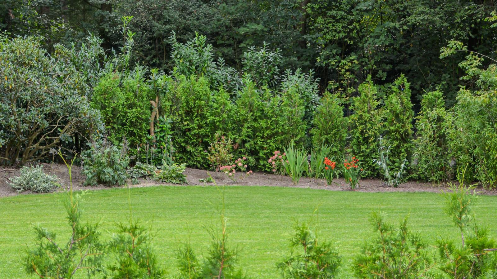 Uilenhof-View summer