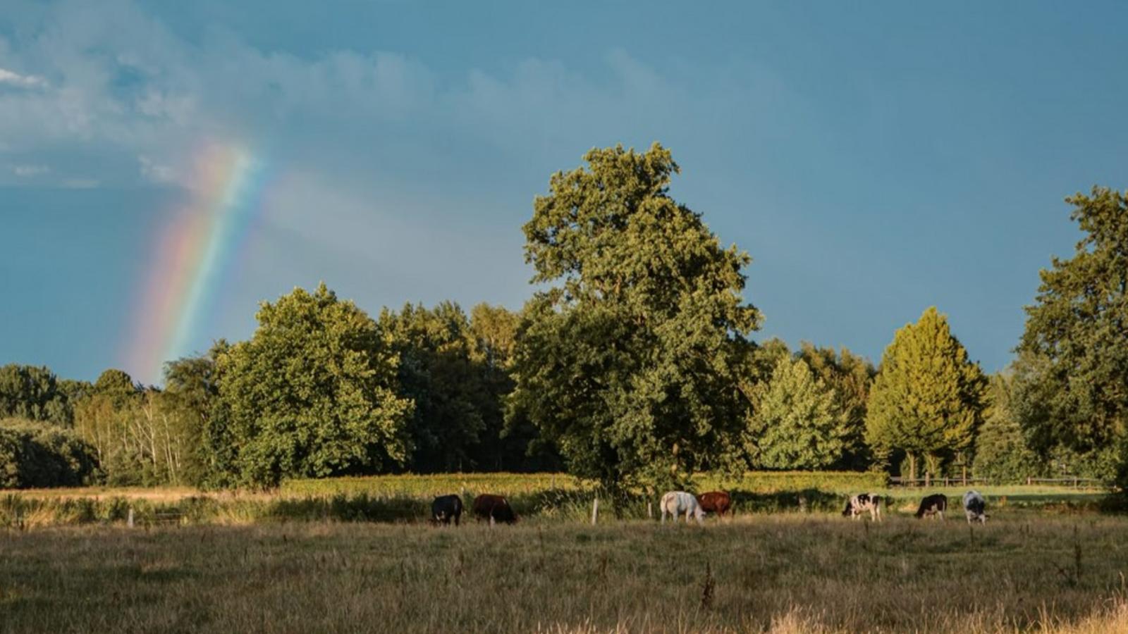 Uilenhof-View summer