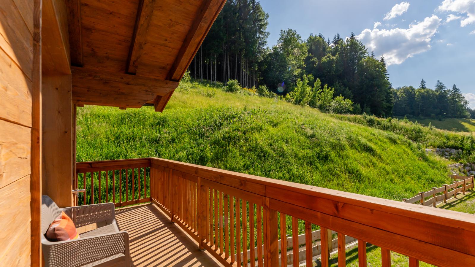 Tauernlodge Eben D4 - Terrasbalkon