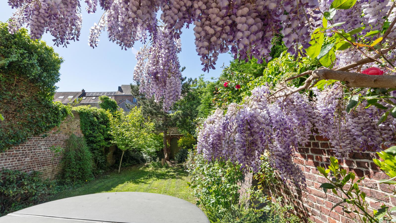 La Maison Bleue Ronse - Wellness