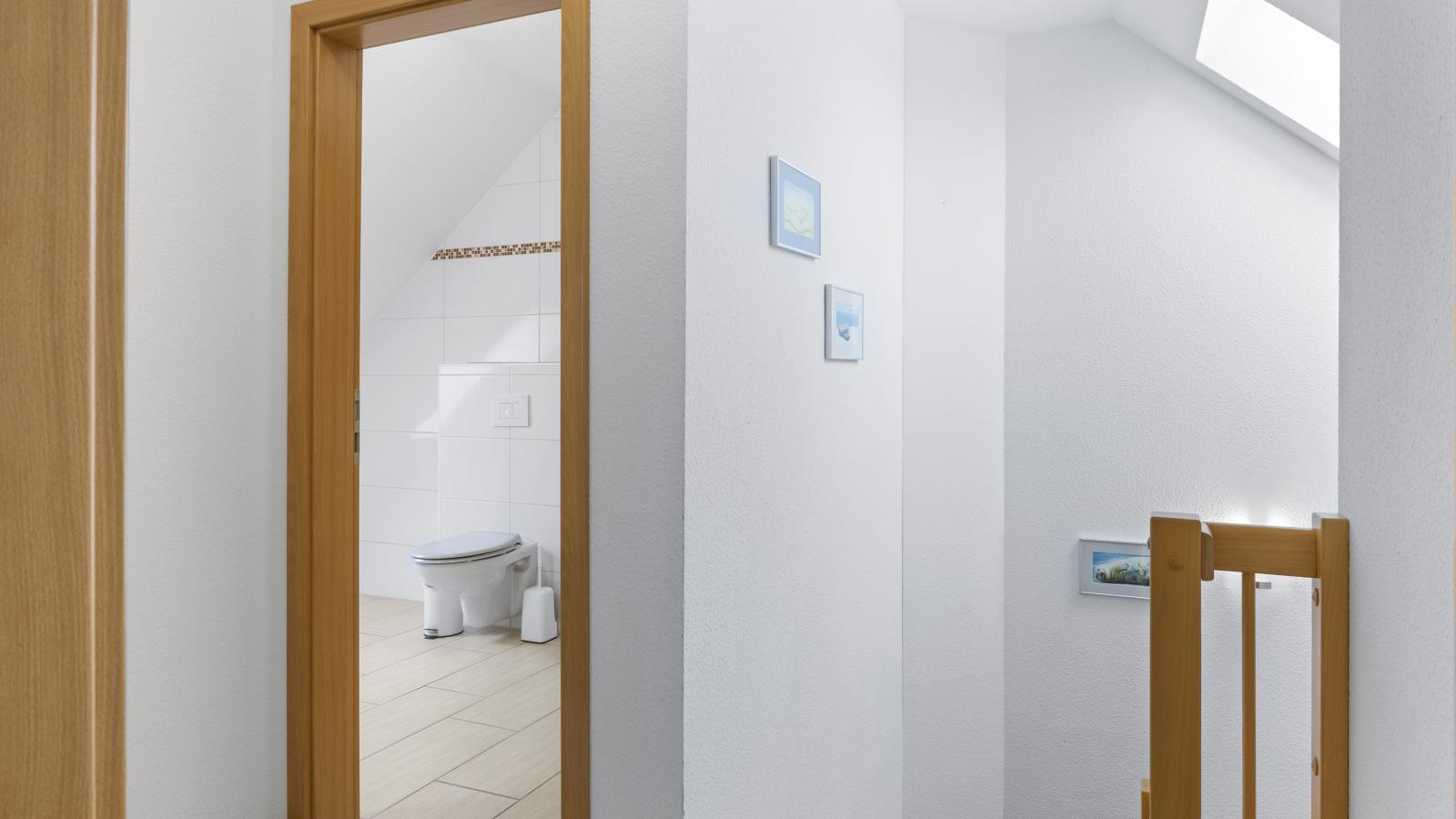 Stranddistel links mit Sauna-Hal-ontvangst