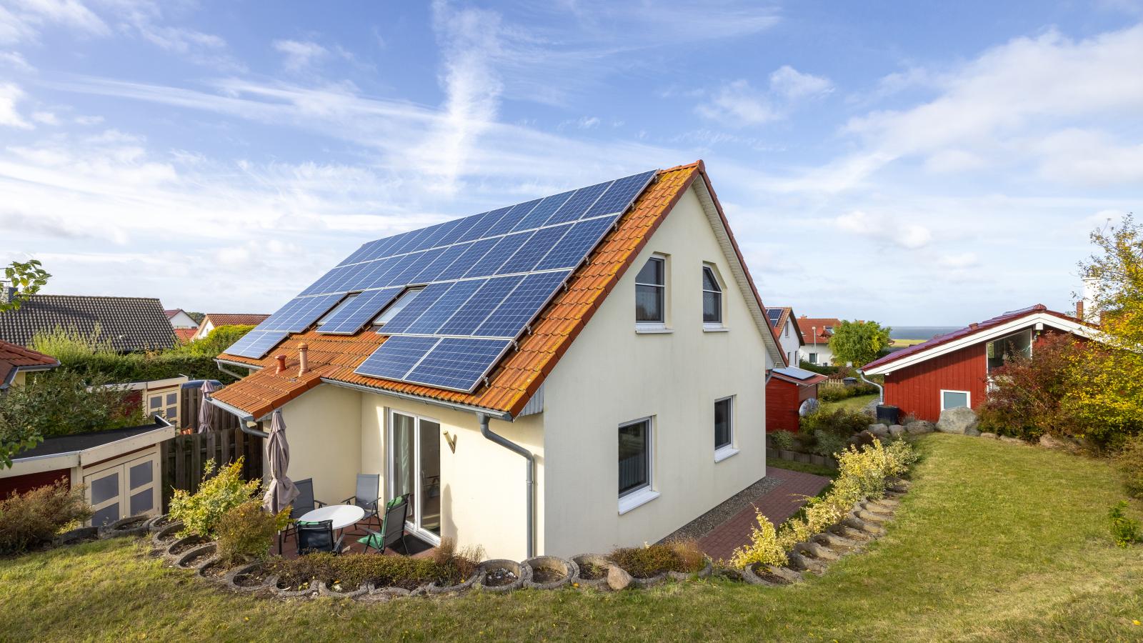 Stranddistel links mit Sauna-Buitenkant zomer