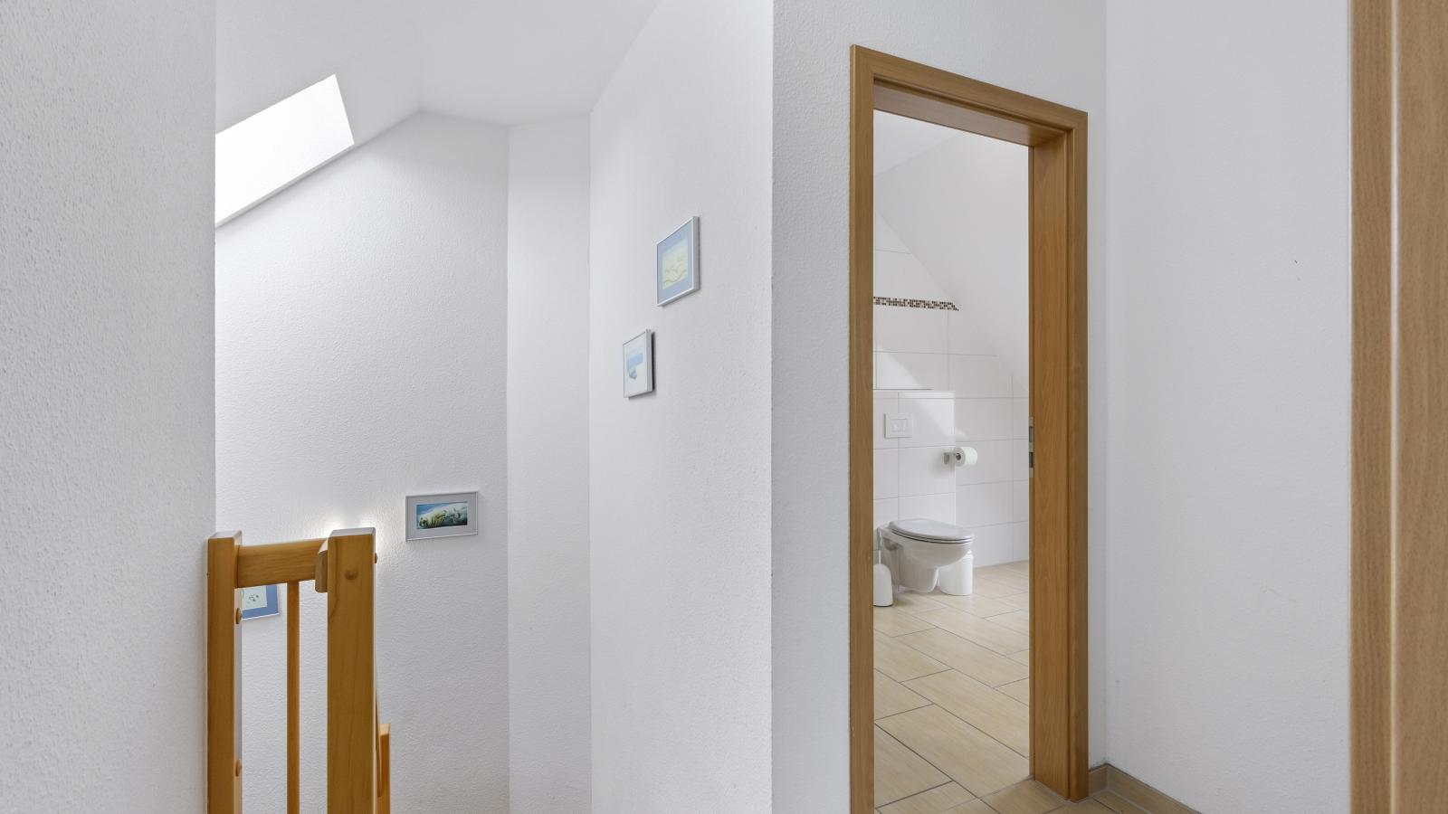 Stranddistel rechts-Overloop