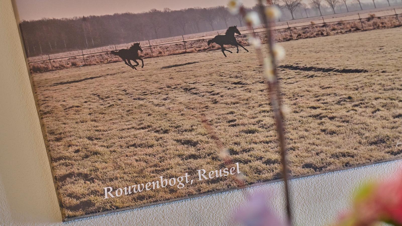 De Rouwenbogt-Sfeer