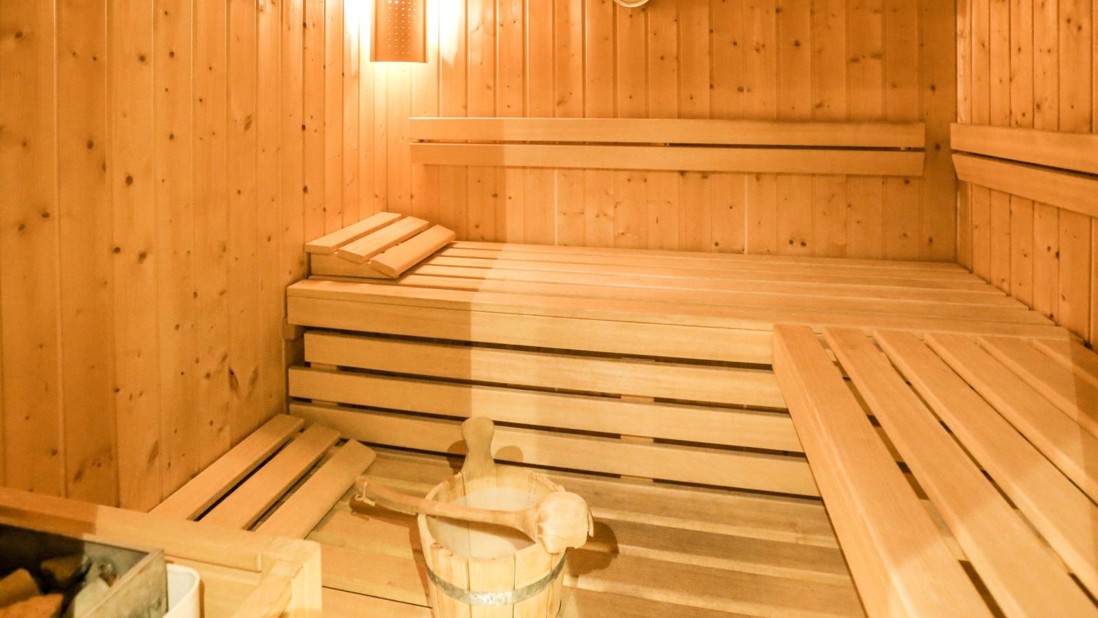 Tauernnest-Sauna