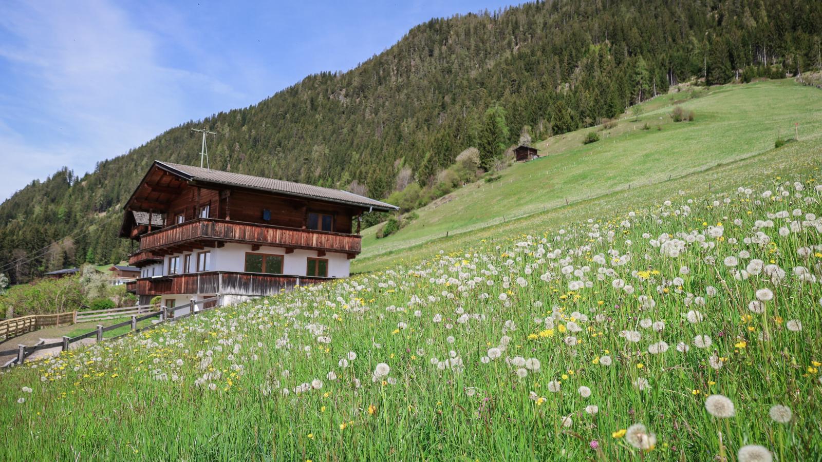 Tirola Chalet Alpbach-Extérieur été