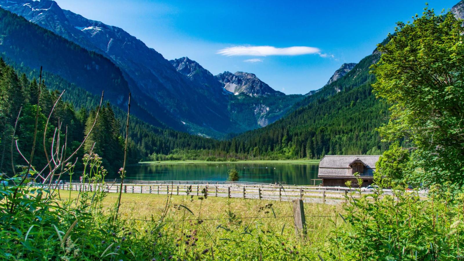 Wildrose - Gebiete Sommer 20 km