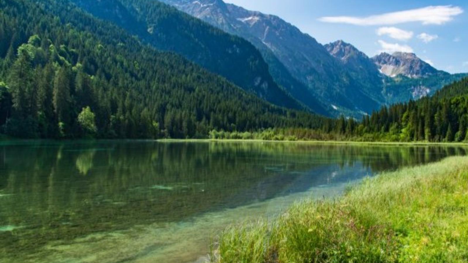 Wildrose - Gebiete Sommer 20 km