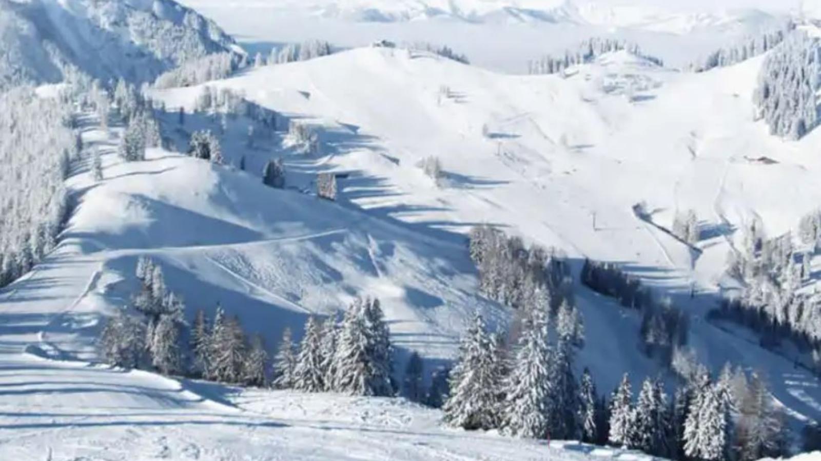 Wildrose - Gebiet Winter 20 km