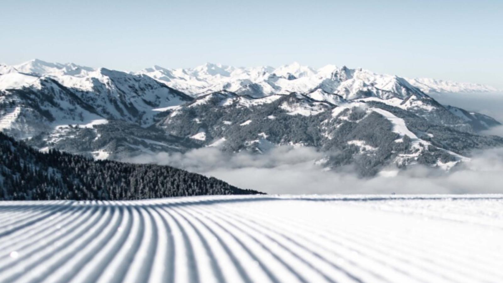 Wildrose - Gebiet Winter 5 km