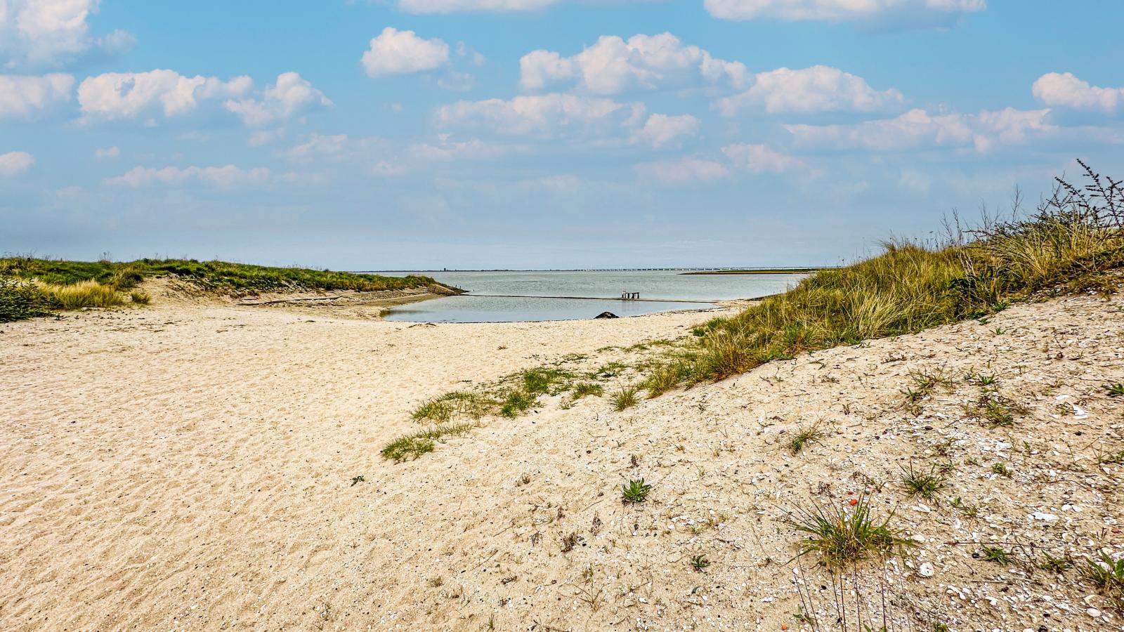 Dune Deluxe-Gebieden zomer 1km