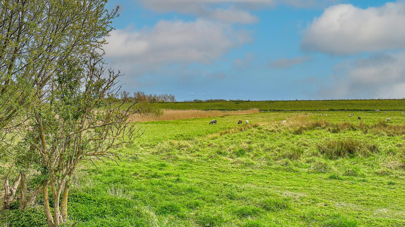 Coast Comfort-Gebiete Sommer 1 km