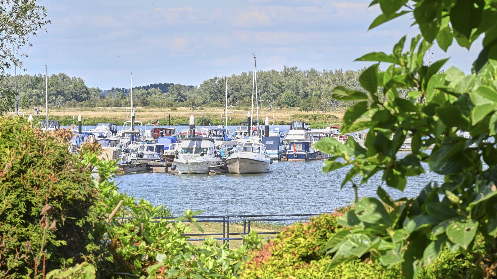 Aan de oever-View summer