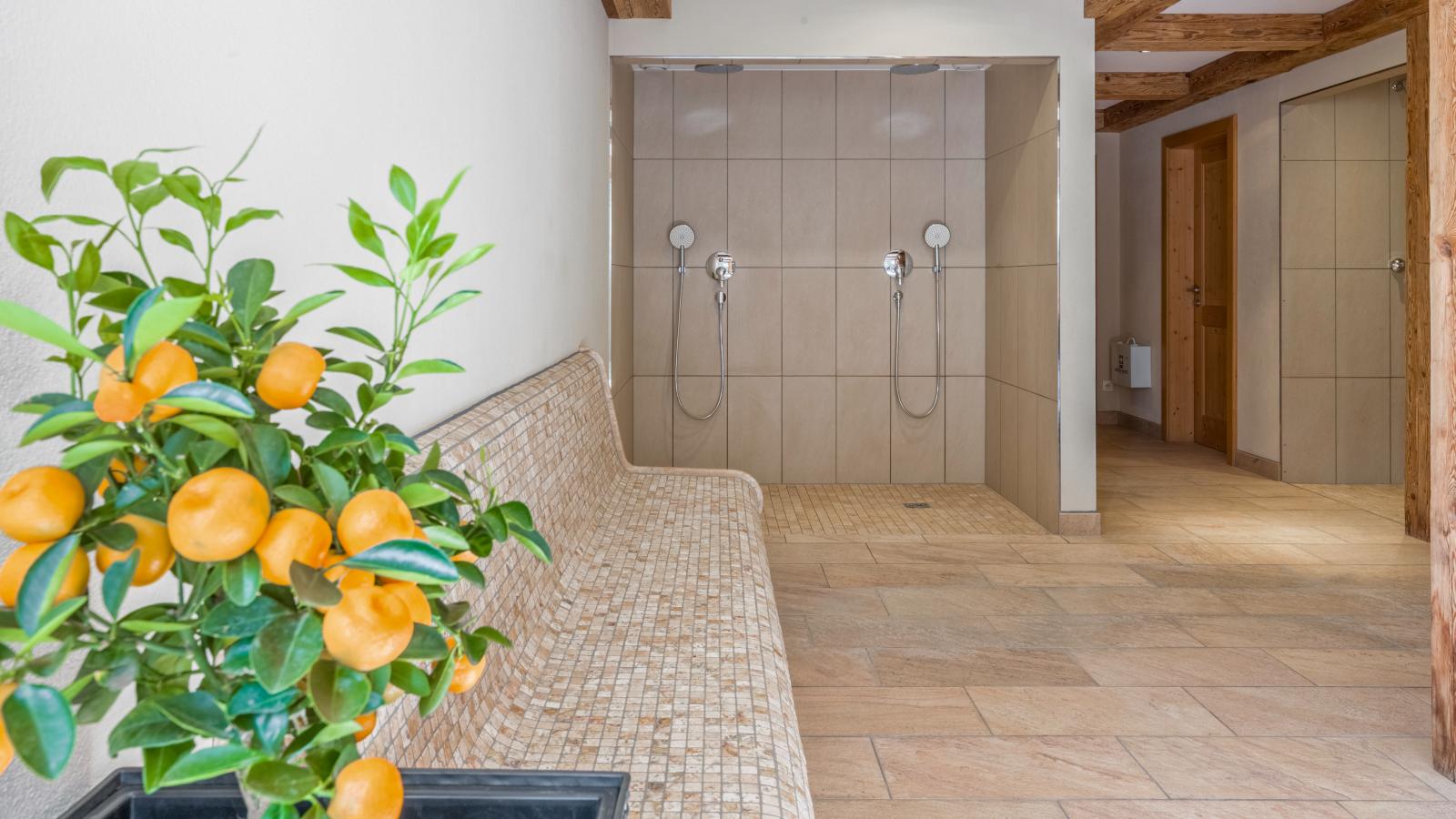 Next To The Skilift A 2-Wellness