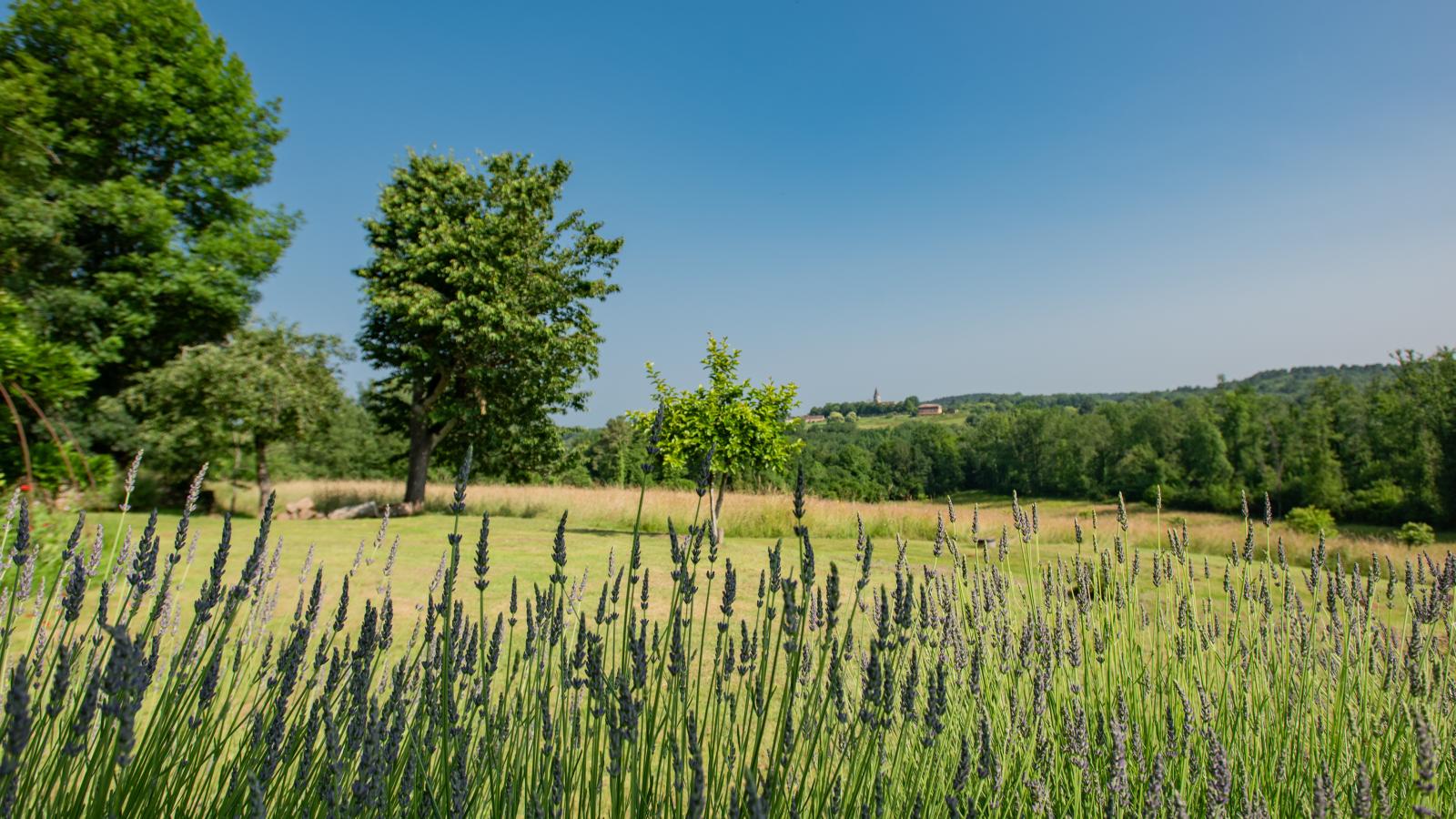 Maison des Yourtes-View summer