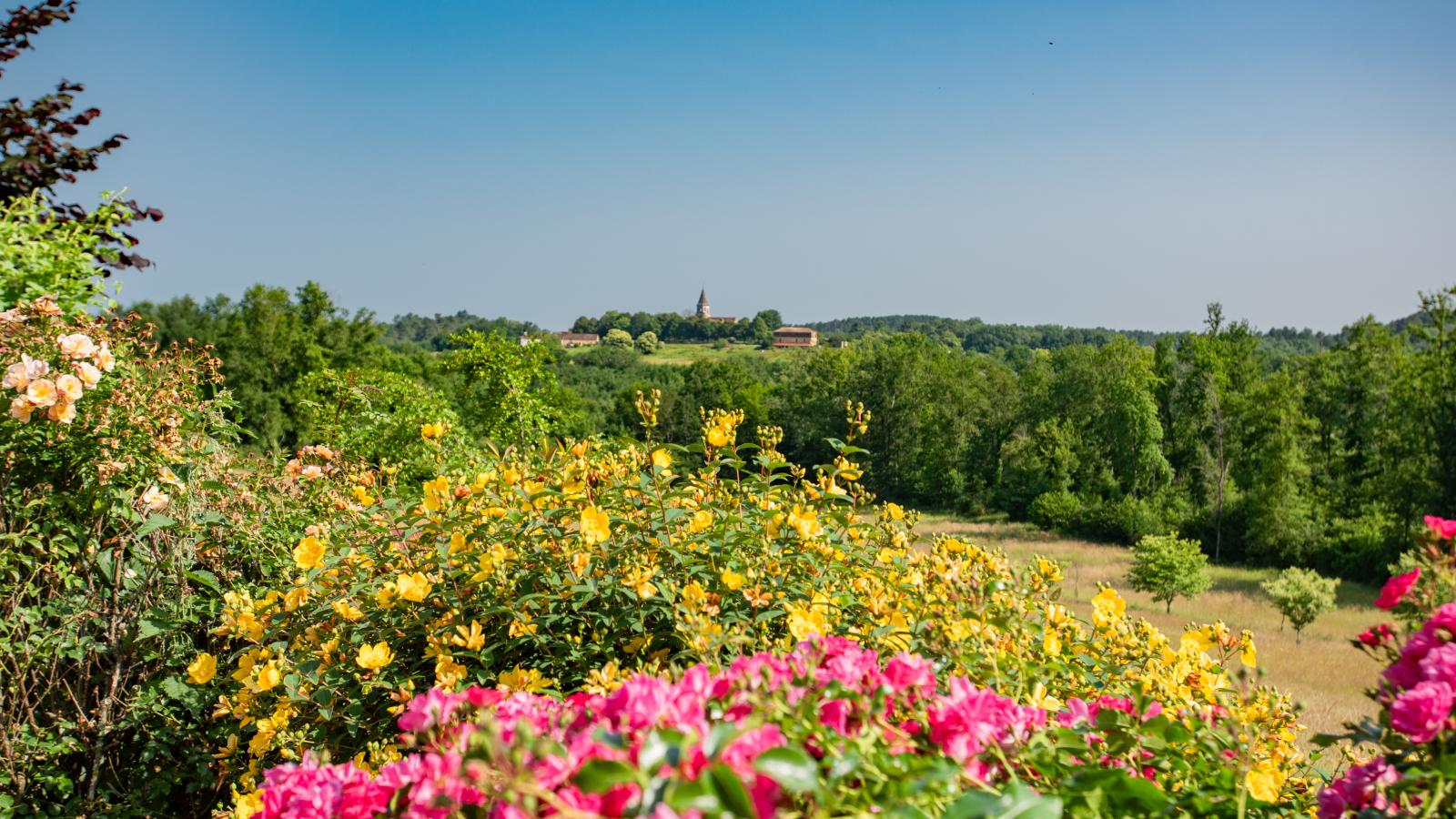 Maison des Yourtes-View summer