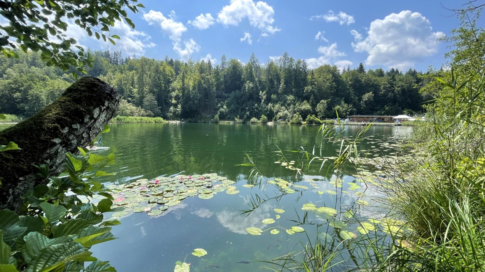 Residenz Aichwaldsee-Waterzicht