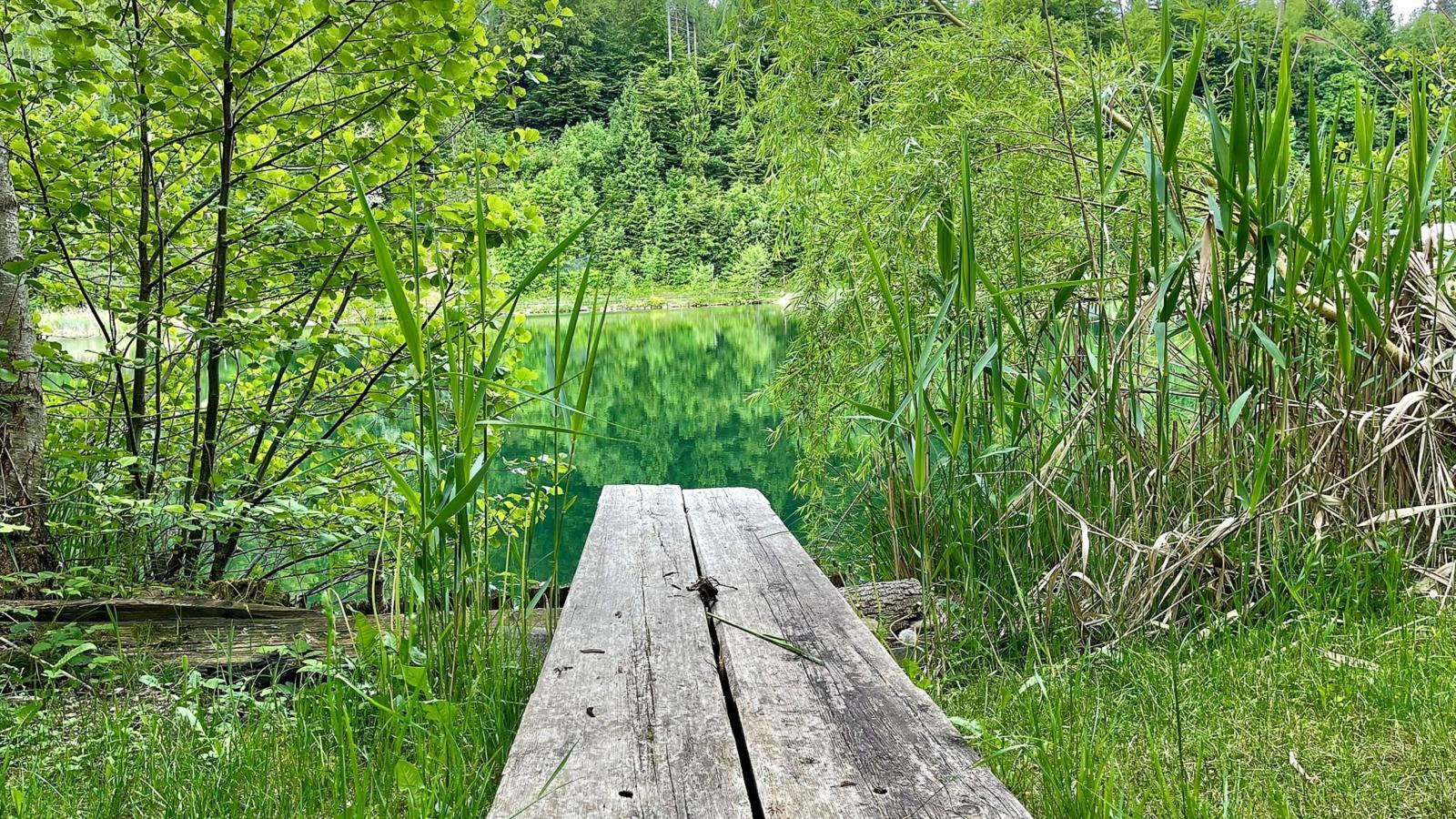 Residenz Aichwaldsee-Waterzicht