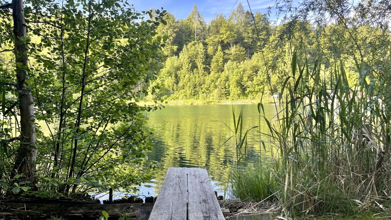 Residenz Aichwaldsee-Water view