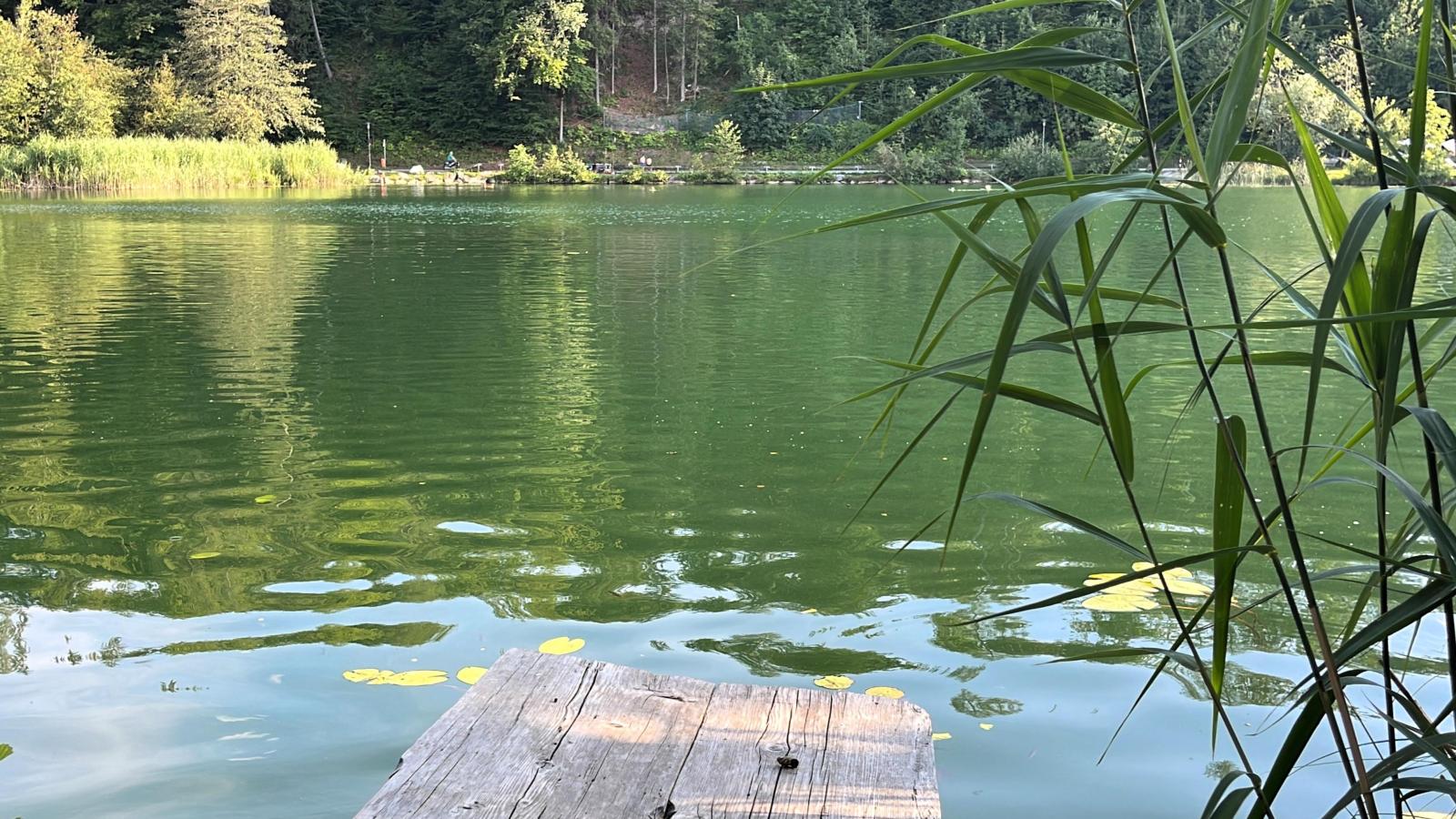 Residenz Aichwaldsee-Waterzicht