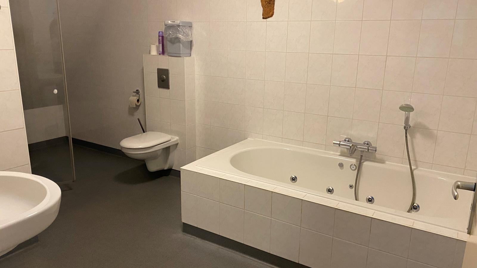 Groep in Friesland-Bathroom