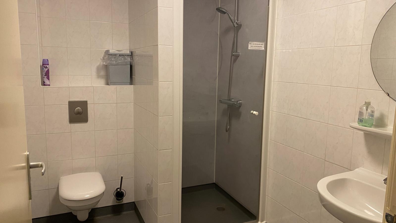Groep in Friesland-Bathroom