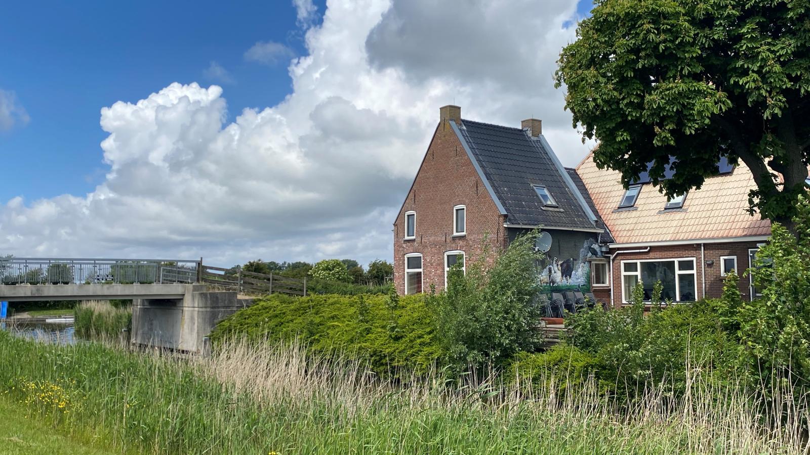Groep in Friesland-Exterior summer
