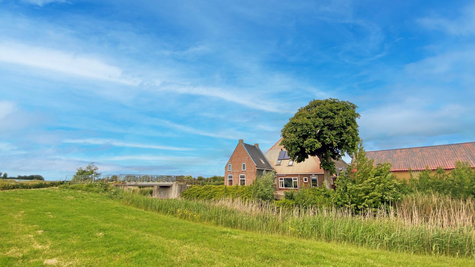 Groep in Friesland-Exterior summer