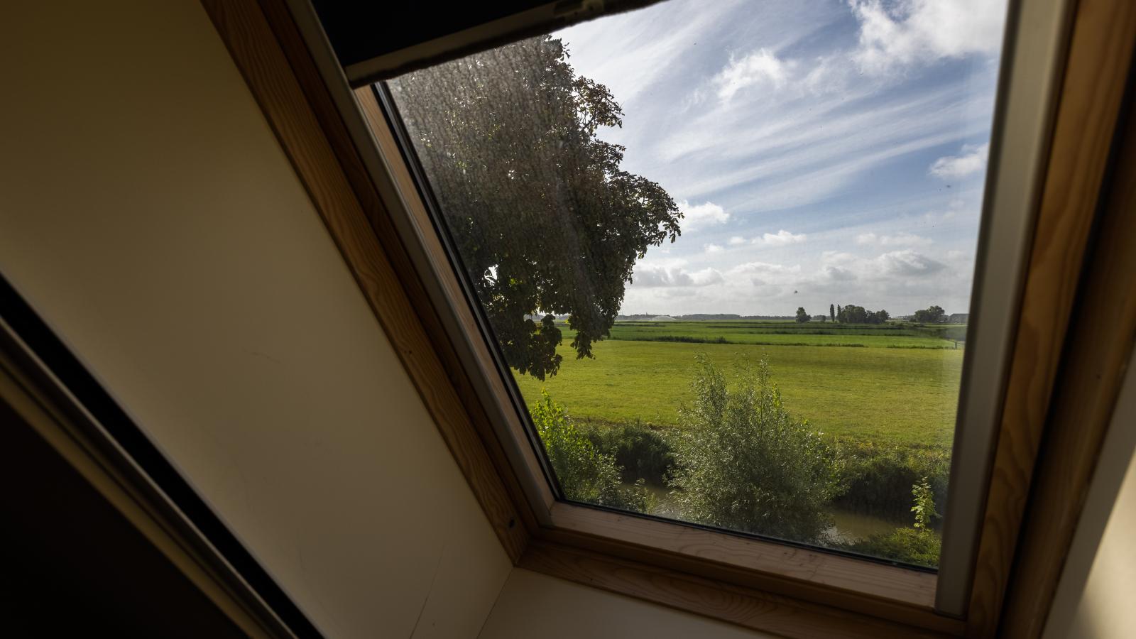 Groep in Friesland-Uitzicht zomer