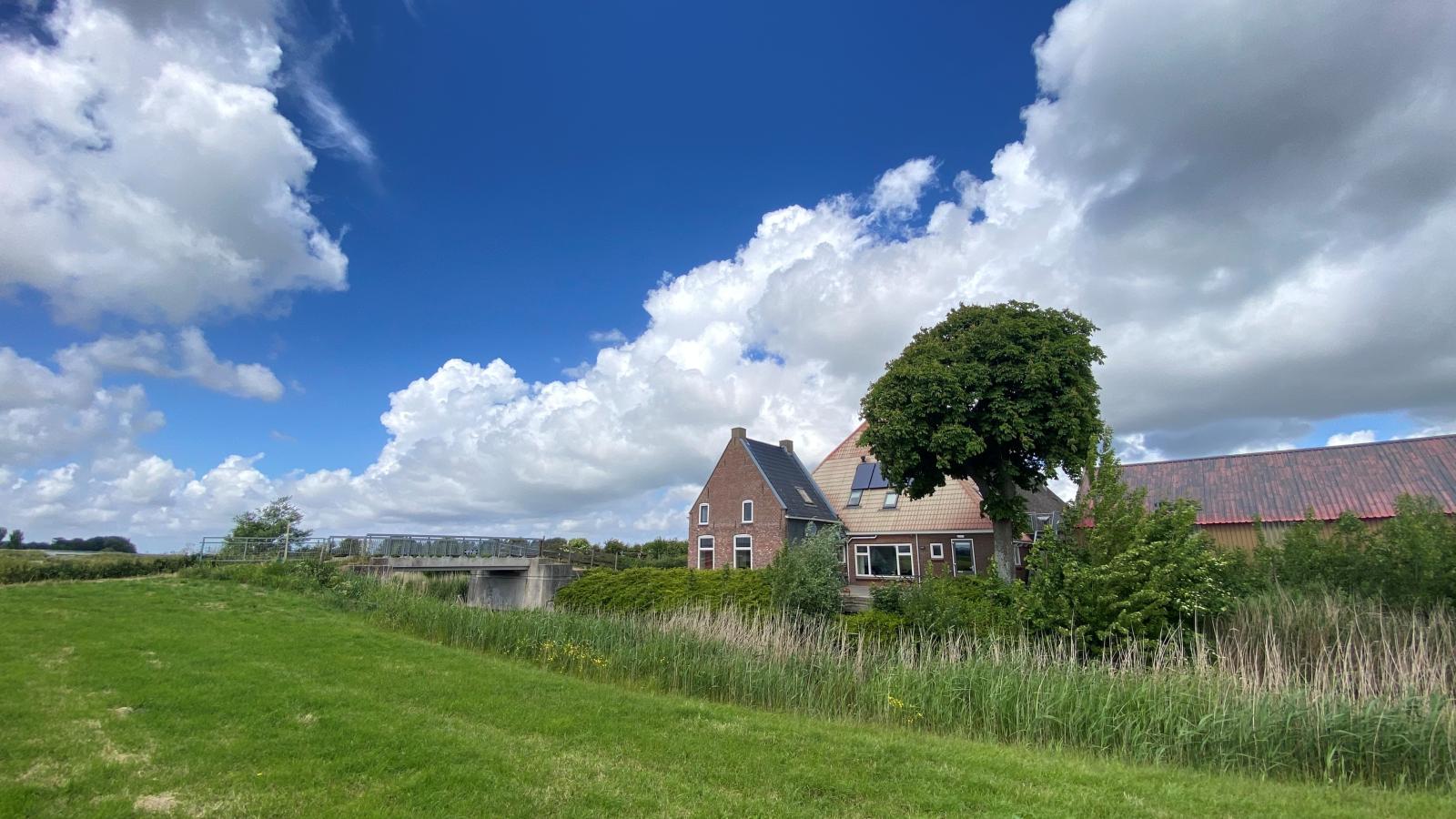 Groep in Friesland-Exterior summer