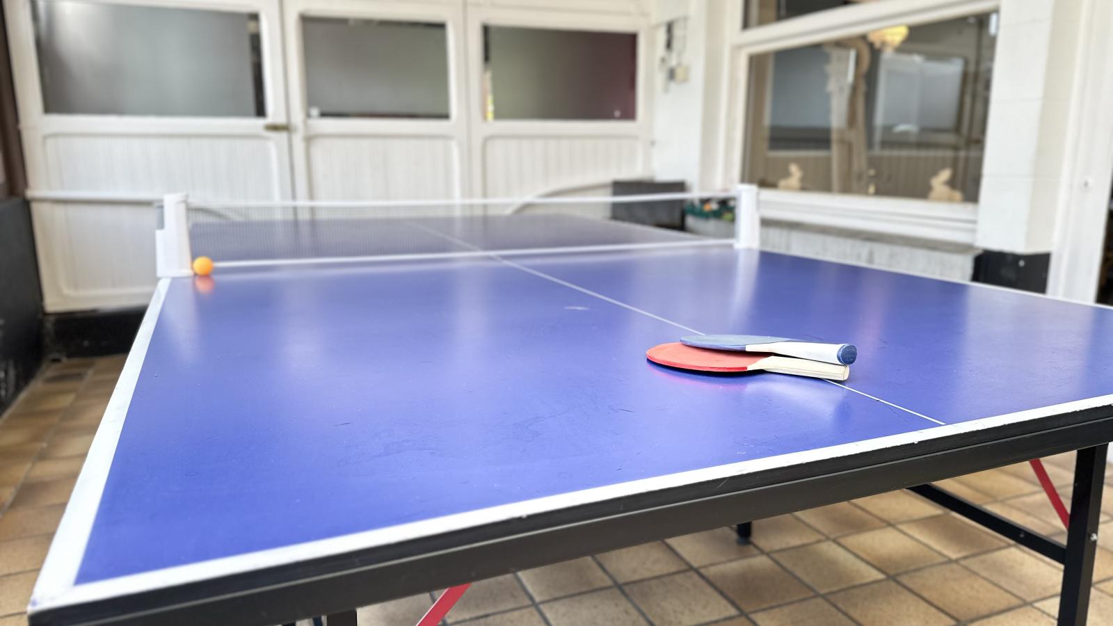 Aux Berges du Lac-Recreation room