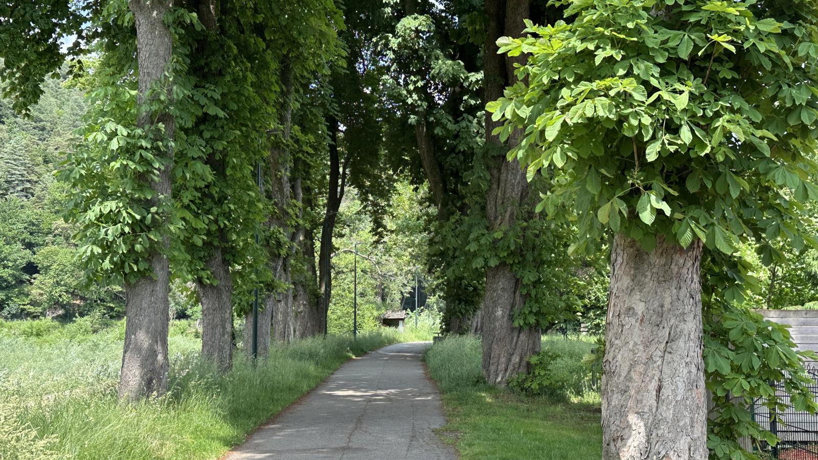 Aux Berges du Lac-Areas summer 1km