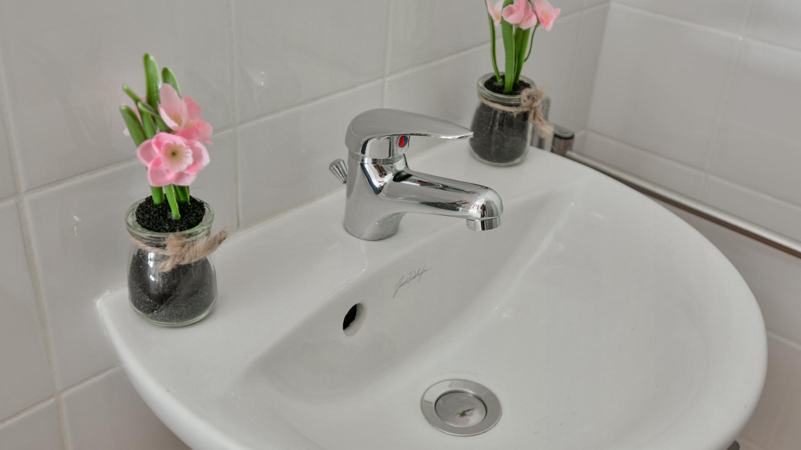 Lac Bleu Nr 38-Badkamer